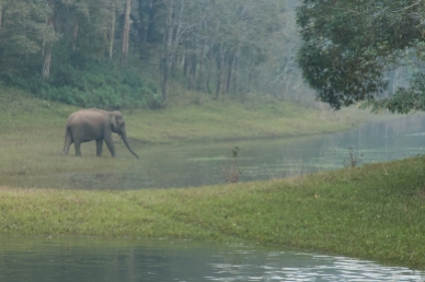Periyar Wildlife Sanctuary, Kerala